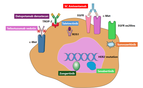 A remarkable year for NSCLC: Seven new FDA approvals in 2025 across molecular targets