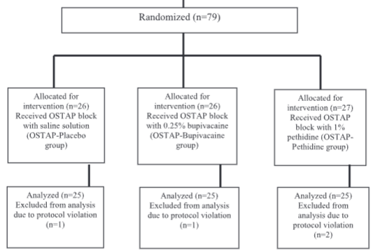 Pethidine efficacy in achieving the ultrasound-guided oblique subcostal transversus abdominis plane block in laparoscopic cholecystectomy: A prospective study