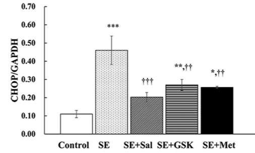 The effect of metformin treatment on endoplasmic reticulum (ER) stress induced by status epilepticus (SE) via the PERK-eIF2α-CHOP pathway
