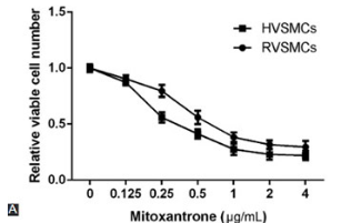 Mitoxantrone suppresses vascular smooth muscle cell (VSMC) proliferation and balloon injury-induced neointima formation: An in vitro and in vivo study