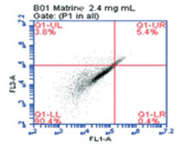 Matrine induced G0/G1 arrest and apoptosis in human acute T-cell lymphoblastic leukemia (T-ALL) cells