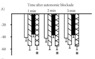 Effects of salt loading on sympathetic activity and blood pressure in anesthetized two-kidney, one clip hypertensive rats