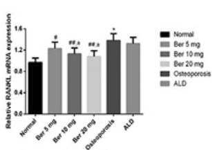 Berberine alleviates oxidative stress in rats with osteoporosis through receptor activator of NF-kB/receptor  activator of NF-kB ligand/osteoprotegerin (RANK/RANKL/OPG) pathway