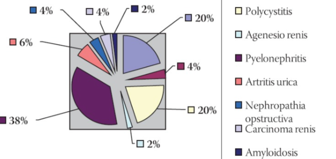 Risk Factors for Development of Cardiovascular Complications in Patients with Chronic Renal Disease and Diabetic Nephropathy
