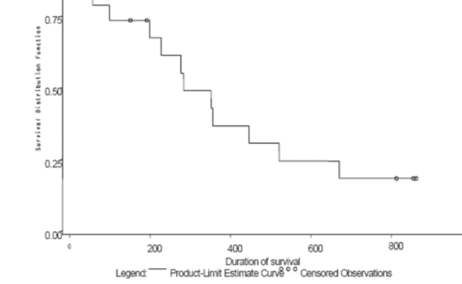 Our Experiences with Erlotinib in Second and Third Line Treatment Patients with Advanced Stage Iiib/ Iv Non-Small Cell Lung Cancer