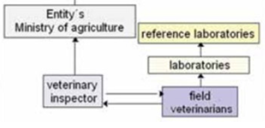 Brucellosis of Ruminants in Bosnia and Herzegovina: Disease Status, Past Experiences and Initiation of a New Surveillance Strategy