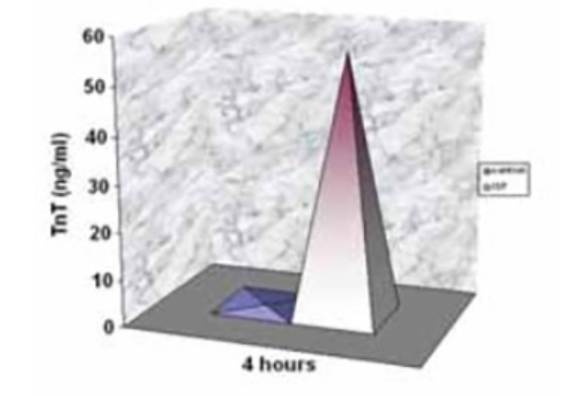 Troponin T and Histological Characteristics of Rat Myocardial Infarction Induced by Isoproterenol