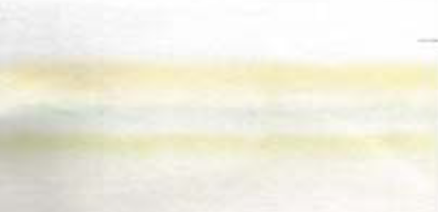 Plant pigments (antioxidants) of medicinal plants Malva Sylvestris l. and Malva Moschata l. (Malvaceae)