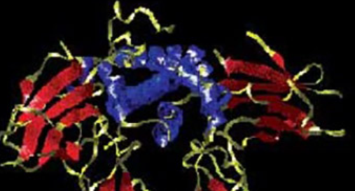 Growth hormone (GH) usage and abuse