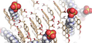 Basic principles of drug--excipients interactions