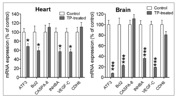Teucrium Polium Plant Extract Provokes Substantial Cytotoxicity at the Early Stage of Embryonic Development