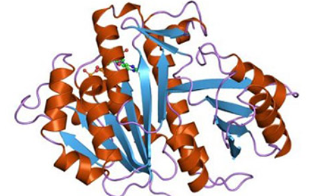 The key bacterial cell division protein FtsZ as a novel antibacterial drug target