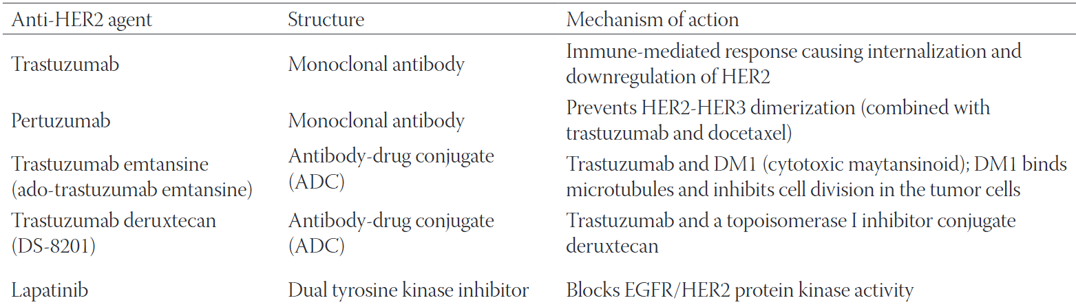 Targeting HER2 expression in cancer: New drugs and new indications