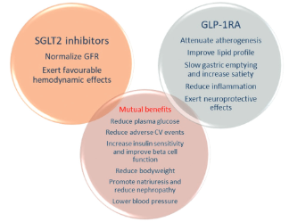 Pharmacogenetics of new classes of antidiabetic drugs
