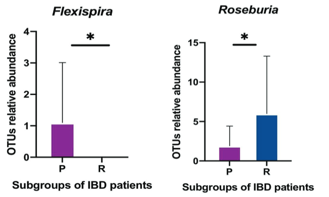 Attributes of intestinal microbiota composition and their correlation with clinical primary non-response to anti-TNF-α agents in inflammatory bowel disease patients