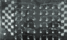 Application of microfluidic chips in anticancer drug screening