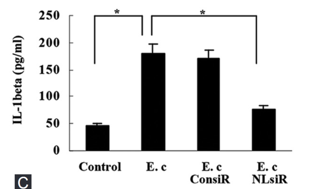 Nod-like receptor protein 3 inflammasome activation by Escherichia coli RNA induces transforming growth factor beta 1 secretion in hepatic stellate cells