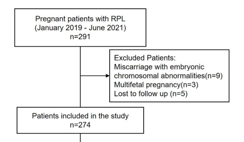 Impact of subchorionic hematoma on pregnancy outcomes in women with recurrent pregnancy loss