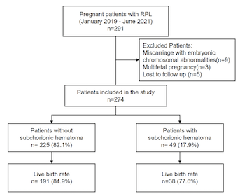 Impact of subchorionic hematoma on pregnancy outcomes in women with recurrent pregnancy loss