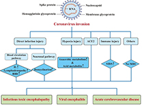 SARS‐CoV‐2 infection and multi-organ system damage: a review