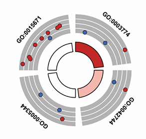 Integrated transcriptomic and proteomic analysis reveals potential targets for heart regeneration