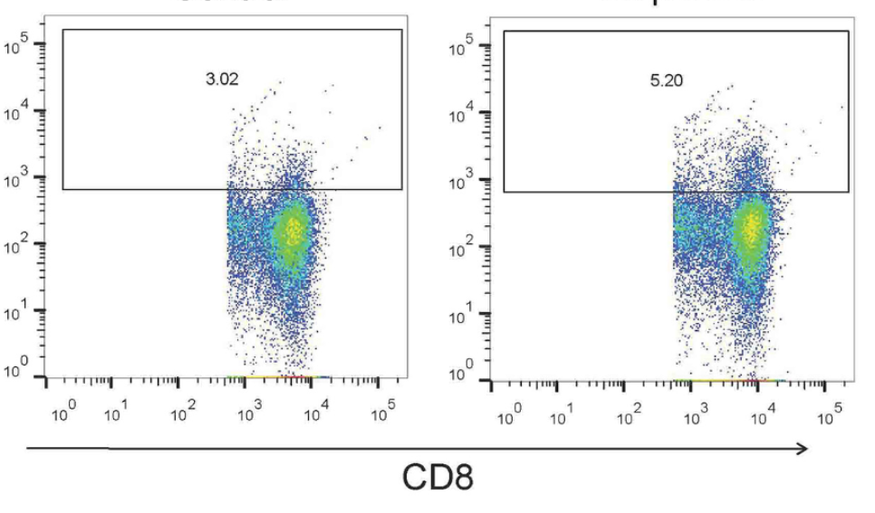 Amphiregulin/epidermal growth factor receptor/hypoxia-inducible factor-1α pathway regulates T helper 9 and T