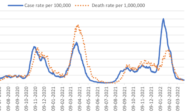 OVID-19 in the Federation of Bosnia and Herzegovina: Strengthening the public health surveillance using a web-based system to inform public health response, March 2020 - March 2022
