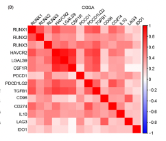 Identification of RUNX1 and IFNGR2  as prognostic-related biomarkers correlated  with immune infiltration and subtype  differentiation of low-grade glioma