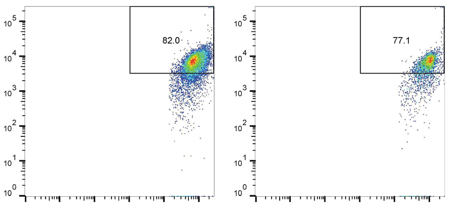 Interleukin-37 suppresses the cytotoxicity of hepatitis B virus peptides-induced CD8+ T cells in patients with acute hepatitis B