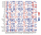 Systemic analysis of the expression and prognostic significance of USP31 in endometrial cancer