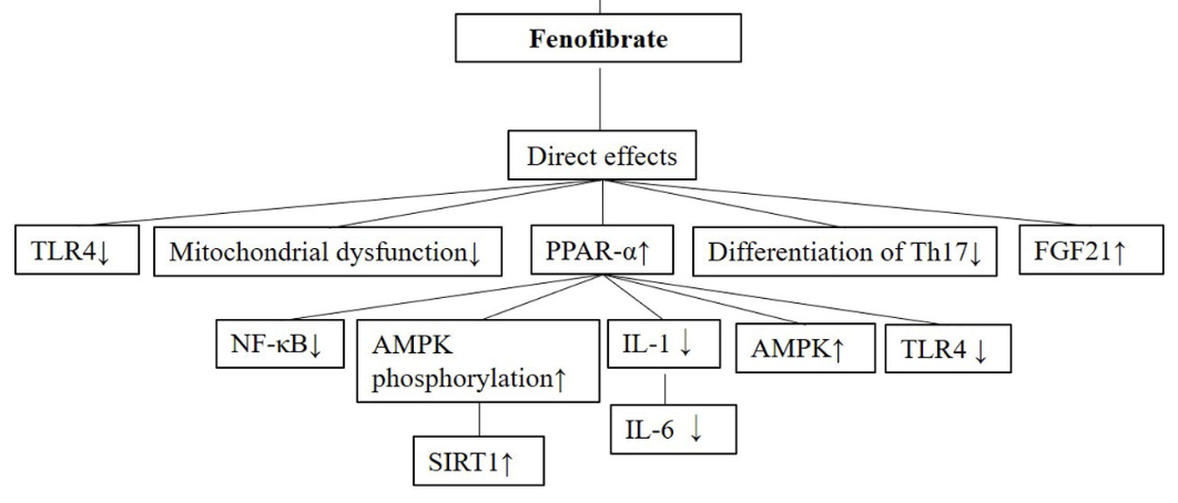 Anti-inflammatory role of fenofibrate in treating diseases