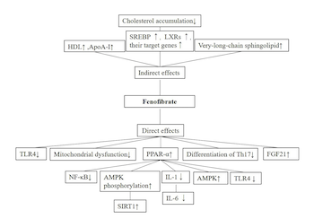 Anti-inflammatory role of fenofibrate in treating diseases