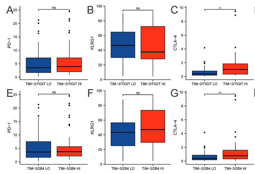 Increased co-expression of TIM-3 with TIGIT or 2B4 on CD8+ T cells is associated with poor prognosis in locally advanced nasopharyngeal carcinoma