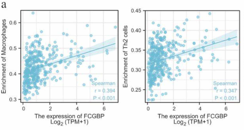 Fc fragment of IgG binding protein is correlated with immune infiltration levels in hepatocellular carcinoma