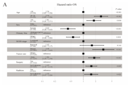 Establishment of predictive nomogram and web-based survival risk calculator for desmoplastic small round cell tumor: A propensity score-adjusted, population-based study