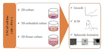 IC50: an unsuitable measure for large-sized prostate cancer spheroids in drug sensitivity evaluation