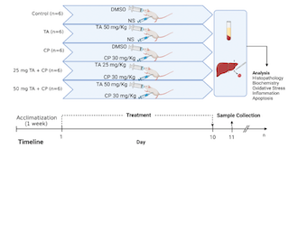 Hepatoprotective effect of taxifolin on cyclophosphamide-induced oxidative stress, inflammation, and apoptosis in mice: Involvement of Nrf2/HO-1 signaling