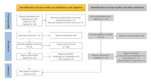 The role of chidamide in the treatment of B-cell non-Hodgkin lymphoma: An updated systematic review