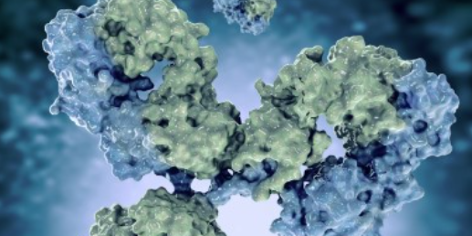 Sacituzumab govitecan expands its therapeutic spectrum among breast cancer subtypes