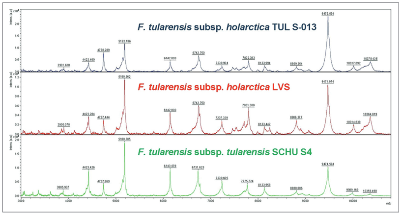 The use of Matrix-assisted laser desorption ionization-time of flight mass spectrometry in the identification of Francisella tularensis