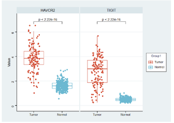 Silencing of LINC00467 inhibits cell proliferation in testicular germ cell tumors cells