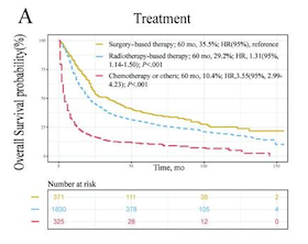 Developing a predictive nomogram and web-based survival calculator for locally advanced hypopharyngeal cancer: A propensity score-adjusted, population-based study