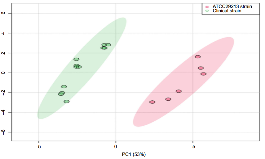 Cytoplasmic amino acid profiles of clinical and ATCC 29213 strains of Staphylococcus aureus harvested at different growth phases