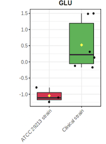 Cytoplasmic amino acid profiles of clinical and ATCC 29213 strains of Staphylococcus aureus harvested at different growth phases