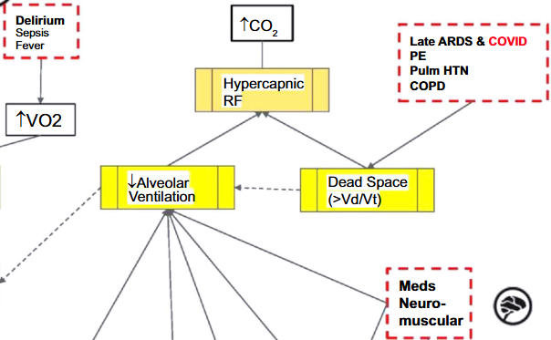 Gaining consensus on expert rule statements for acute respiratory failure digital twin patient model in intensive care unit using a Delphi method