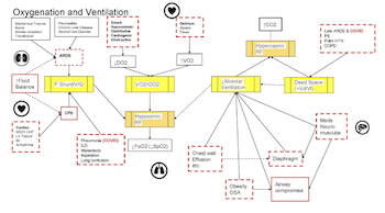 Gaining consensus on expert rule statements for acute respiratory failure digital twin patient model in intensive care unit using a Delphi method