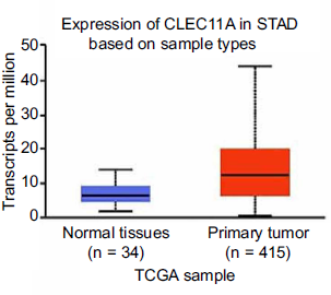 CLEC11A expression as a prognostic biomarker in correlation to immune cells of gastric cancer