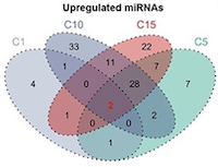 Long-term storage modifies the microRNA expression profile of cryopreserved human semen