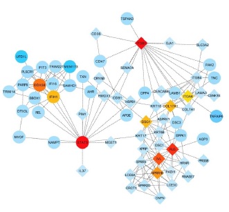 Identification of potential hub genes associated with atopic dermatitis - like recombinant human epidermal model using integrated transcriptomic and proteomic analysis