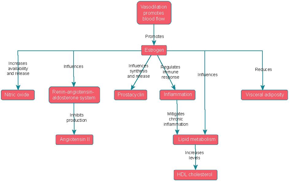 Beyond hot flashes: Exploring the role of estrogen therapy in postmenopausal women for myocardial infarction prevention and recovery